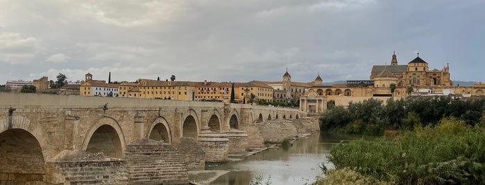 Puente Romano is one of Tempat yang Disukai Adrian.