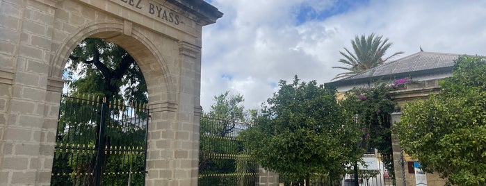 Bodegas Gonzalez Byass - Tío Pepe is one of Jerez de la Frontera.