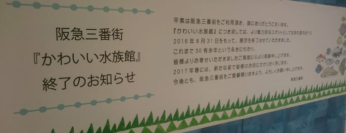 かわいい水族館 is one of 友達のとかイベントとか.