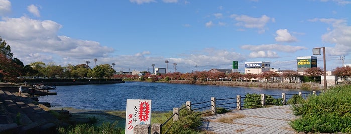 旧彦根港湾 is one of Tomatoさんのお気に入りスポット.