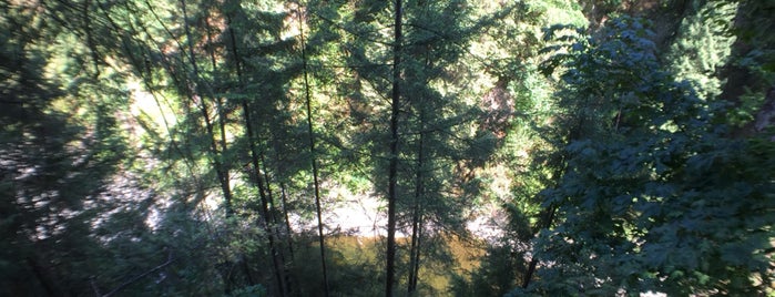 Capilano Suspension Bridge is one of Lugares favoritos de Simo.