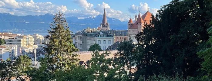 Parc de l'Hermitage is one of Lausanne/Genf.