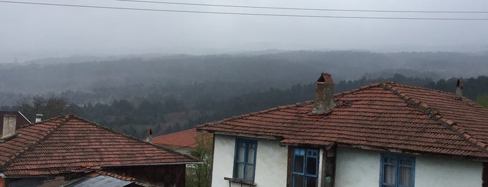 Bolu-Mengen/Corak Kadirler Koyu is one of Lieux qui ont plu à Özdemir.