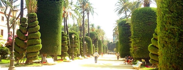 Parque Genovés is one of Cádiz en un día.