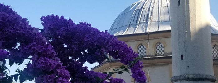 Burgazada Camisi is one of Locais salvos de Gül.