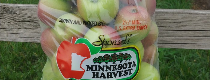 Sponsel's Minnesota Harvest is one of Winery  🍷 🍷 🍷.