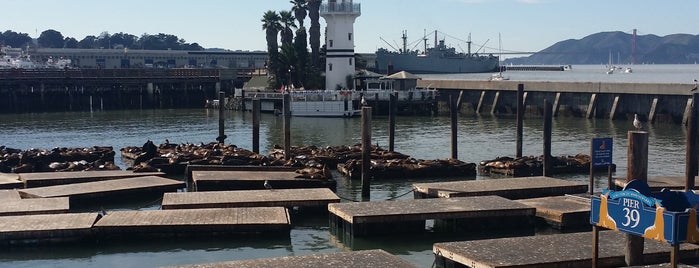 Pier 39 Marina is one of Lugares favoritos de Jennifer.