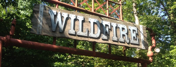 Wildfire Rollercoaster is one of Lugares favoritos de Phil.