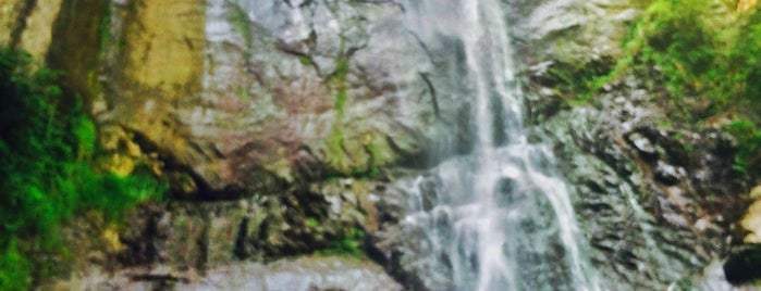 Makhuntseti Waterfall | მახუნცეთის ჩანჩქერი is one of Батуми, Аджария, Грузия.