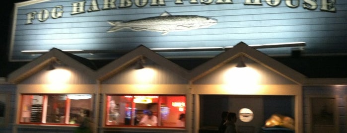 Fog Harbor Fish House is one of SFO Places.