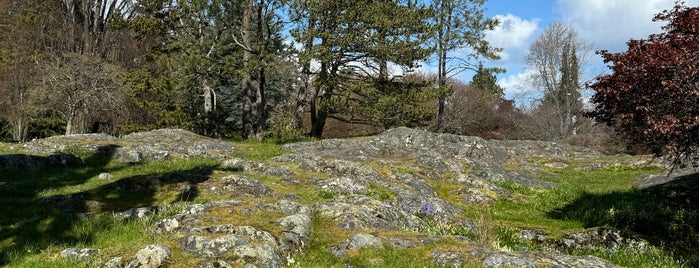 Beacon Hill Park is one of Traveling BC.