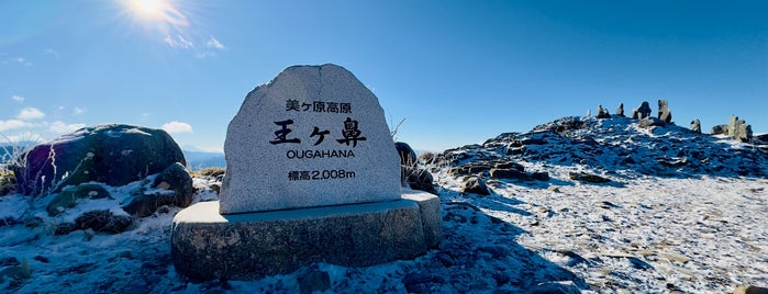 王ヶ鼻 is one of 日本の🗻ちゃん(⌒▽⌒).