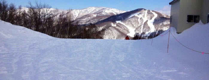 蓮池スキー場 is one of SHIGA KOGEN Ski Area.