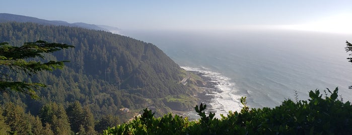 Cape Perpetua Scenic Area is one of Andy’s Liked Places.