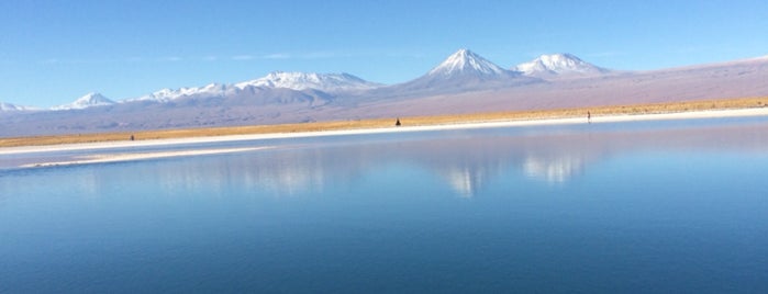 Laguna Cejar is one of Posti che sono piaciuti a Joao Ricardo.