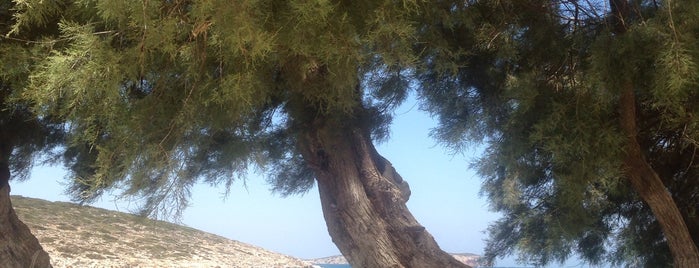 Agia Irini is one of Greece, Cyclades favorites so far.
