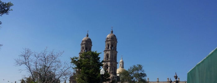 Basílica de Nuestra Señora de Zapopan is one of Lugares por ir (o ya fui).