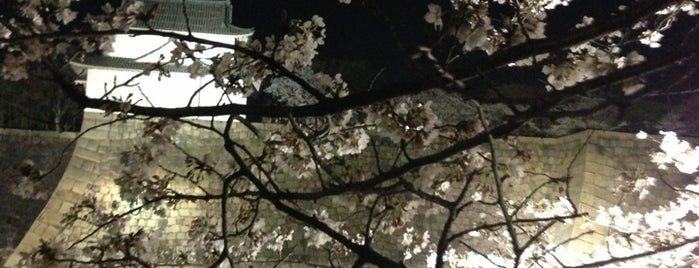 Osaka Castle Park is one of Travel : Sakura Spot.
