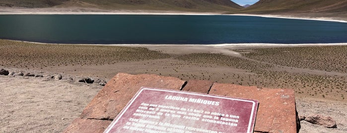 Laguna Miñiques is one of Чили.