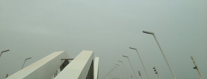 Sheikh Zayed Bridge is one of Locais curtidos por Fatma.