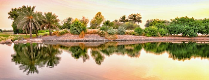 Al Badia Golf Club by InterContinental Dubai Festival City is one of M'ın Kaydettiği Mekanlar.