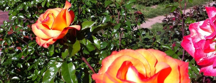 International Rose Test Garden is one of Portland Visit.