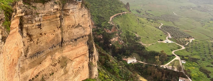 Alameda del Tajo is one of Andalusien.