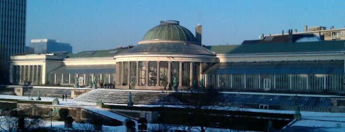 Jardin Botanique is one of My Brussels Best.