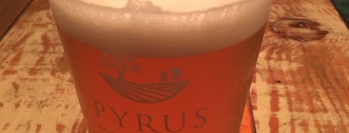 PYRUS Taproom & Bistro is one of beer.