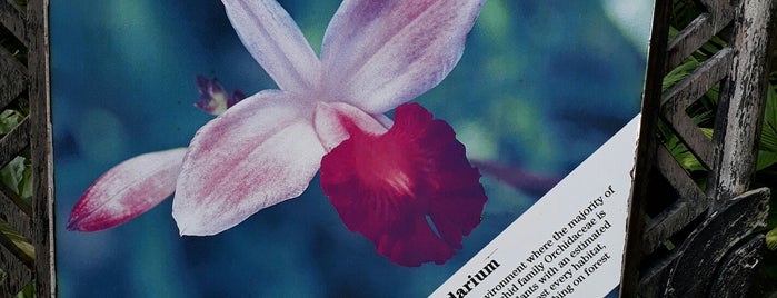 Orchidarium is one of Lugares favoritos de Craig.