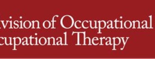 Division of Occupational Science and Occupational Therapy is one of Los Angels.