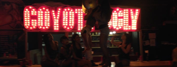 Coyote Ugly Mexico is one of MXDF.