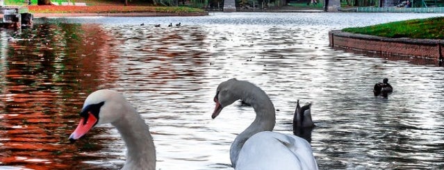 Boston Public Garden is one of Bikabout Boston.