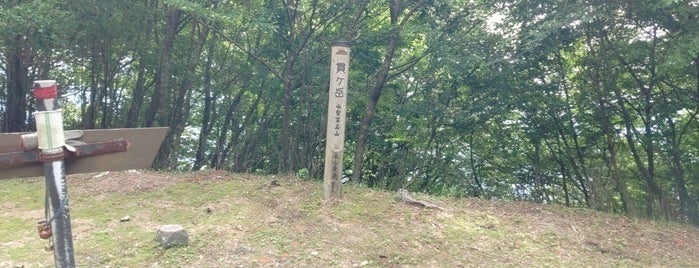 貫ヶ岳　山頂 is one of 山梨百名山.