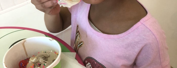 sweetFrog is one of Food Spots to Try.