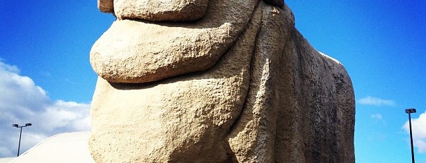 The Big Merino is one of Lugares favoritos de Michael.