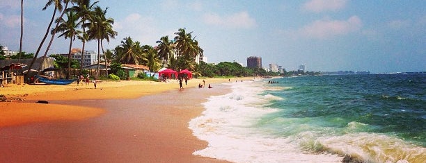 Beach Wadiya Seafoood is one of The absolute best in Colombo.