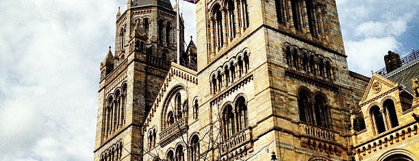 Natural History Museum is one of London.