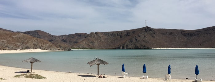Playa Balandra is one of Lugares favoritos de Adriana.