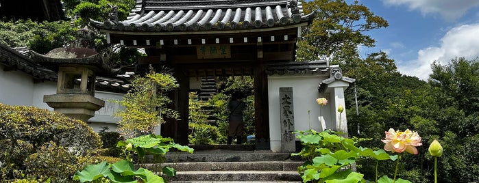 聖林寺 is one of was_temple.