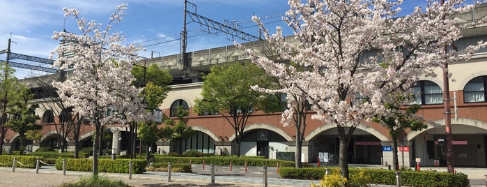 清水緑地 is one of 公園・庭園・動物園・水族館.