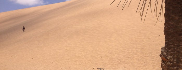 Dune 7 is one of Lugares favoritos de Dmitriy.