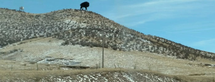 Buffalo on the Hill is one of U.S. Road Trip.