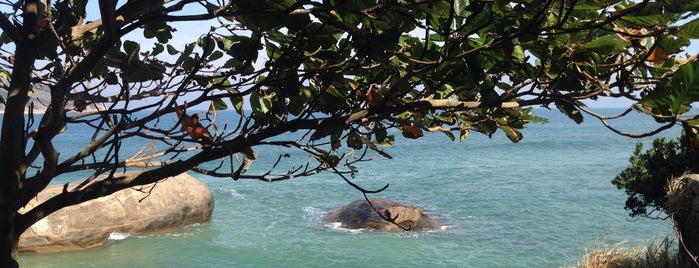Praia Naturista de Abricó is one of Rio de Janeiro.