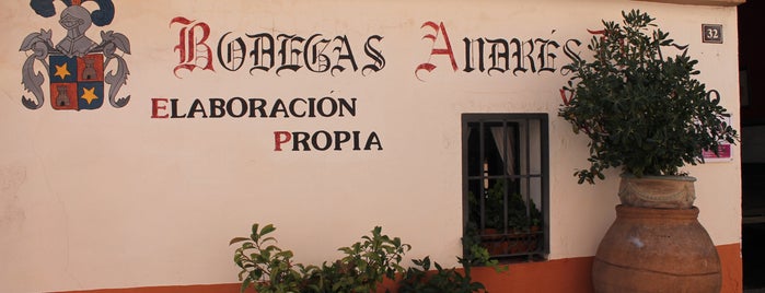 BODEGA ANDRES DIAZ is one of Bodegas.