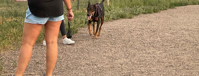 West Arvada Dog Park is one of My To Do List !!.