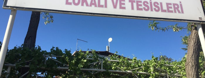 Yeni gayret spor klubü lokali is one of Gulsin: сохраненные места.
