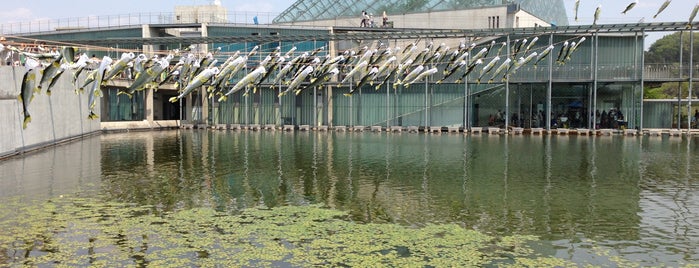 なかがわ水遊園 is one of 水族館（らしきものも含む）.