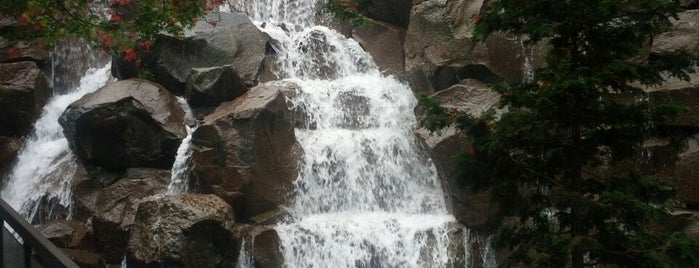 Waterfall Garden Park is one of Seattle.