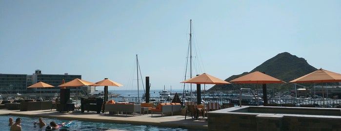 Skypool | Dayclub is one of Cabo.